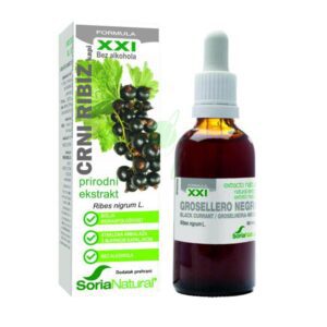 Crni ribiz XXI ekstrakt