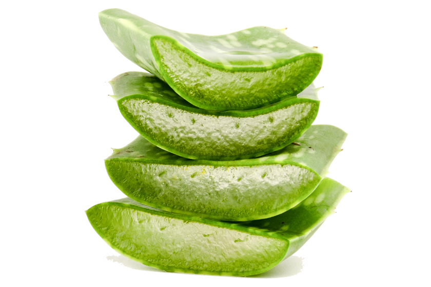 Aloe vera herbs slice