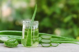 Benefits of Aloe Vera for Skin Hair and Health 617846735 RESIZED